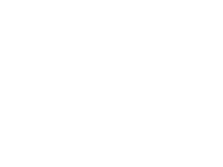 Logo LAN Accelerator